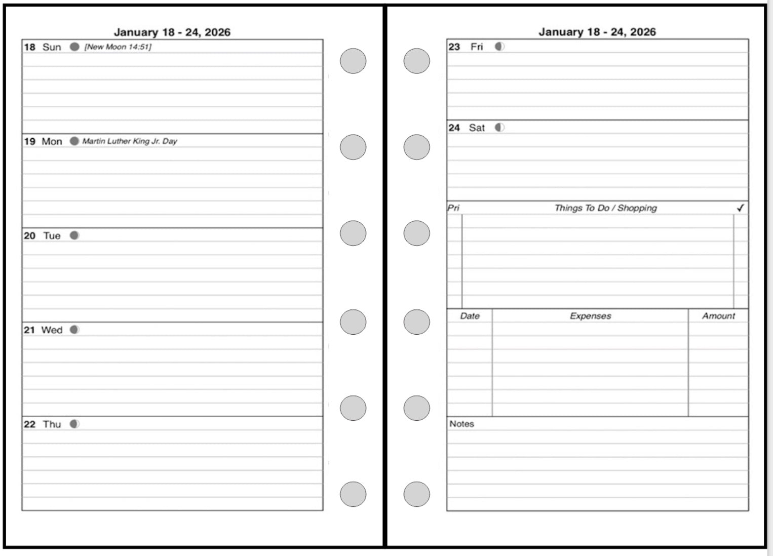 Pocket Plus size Weekly and Monthly Planner, 2 Pages Per Week, 2 Pages Per Month, Style C